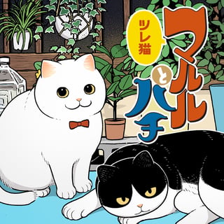 ツレ猫 マルルとハチ