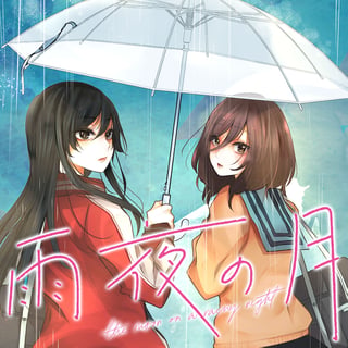 雨夜の月