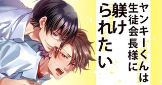 ヤンキーくんは生徒会長様に躾けられたい