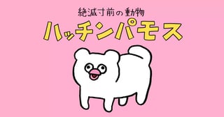 絶滅寸前の動物　ハッチンパモス