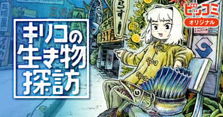 キリコの生き物探訪
