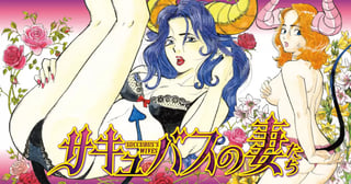 サキュバスの妻たち