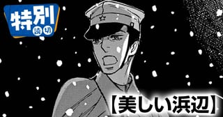 美しい浜辺