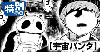 宇宙パンダ