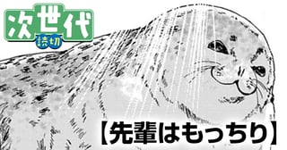 先輩はもっちり