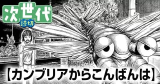 カンブリアからこんばんは