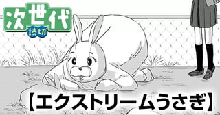 エクストリームうさぎ