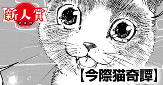 今際猫奇譚(スピリッツ賞・佳作)