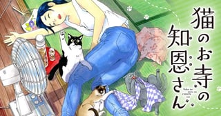 猫のお寺の知恩さん