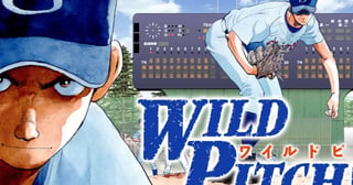 WILD PITCH!!!