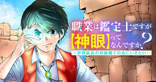 職業は鑑定士ですが【神眼】ってなんですか？～世界最高の初級職で自由にいきたい～