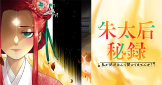 朱太后秘録 私が妃だなんて聞いてませんが！