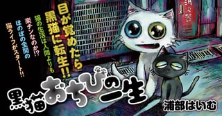 黒猫おちびの一生