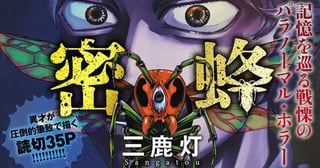 密蜂
