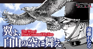 翼よ、自由の空に舞え