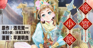 後宮小説