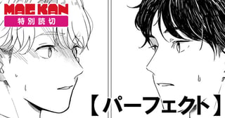 パーフェクト