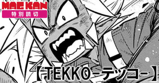 TEKKO-テッコ-