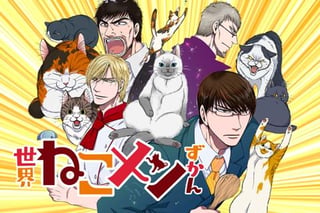 世界ねこメンずかん
