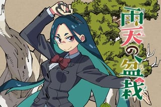 雨天の盆栽