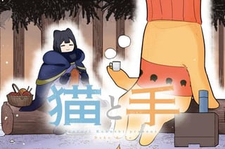 猫と手