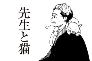 先生と猫