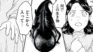 赤い糧