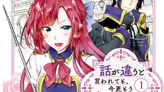話が違うと言われても、今更もう知りませんよ ~婚約破棄された公爵令嬢は第七王子に溺愛される~