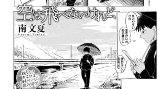 空は飛べないけれど、