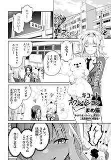 キュートアグレッション