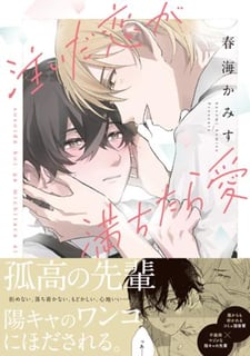 注いだ恋が満ちたら愛