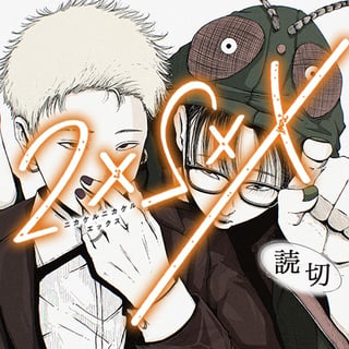 2×2×X