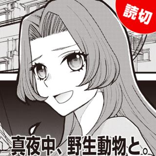 真夜中、野生動物と。