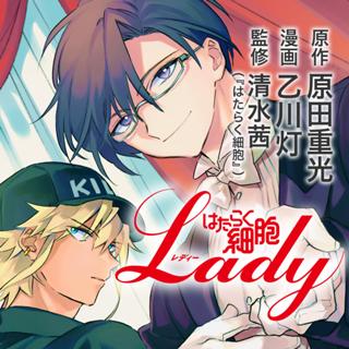 はたらく細胞ＬＡＤＹ