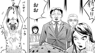 動物商 空久保ケージ