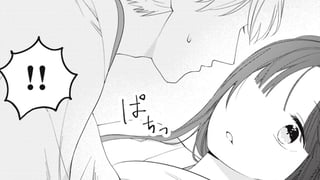 偽りの姫と暗殺者