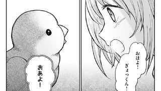 兄のインコ