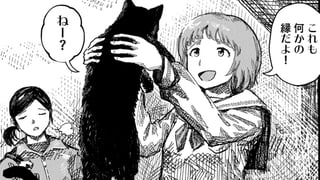 ストレイキャット・スランバー